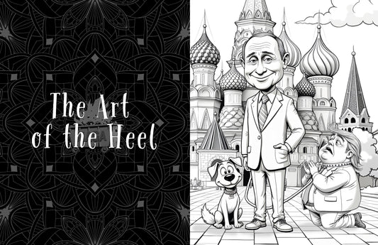 Zen in the Time of Dumpster Fires: A Mindfulness Coloring Book for the Politically Exhausted